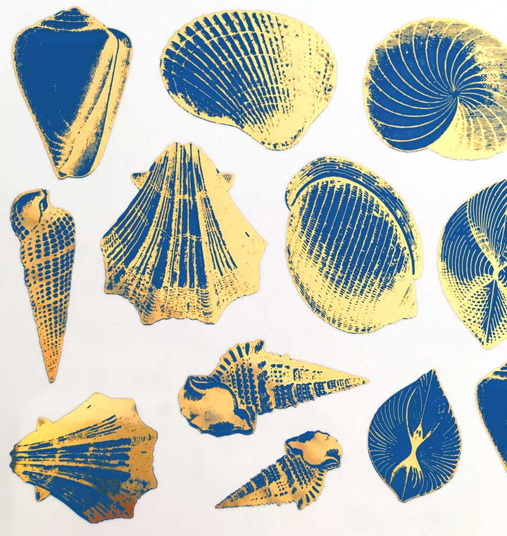 Two Color Sea Shell Decals - Ceramic Cone 017 - Fused Glass - Enamel ...