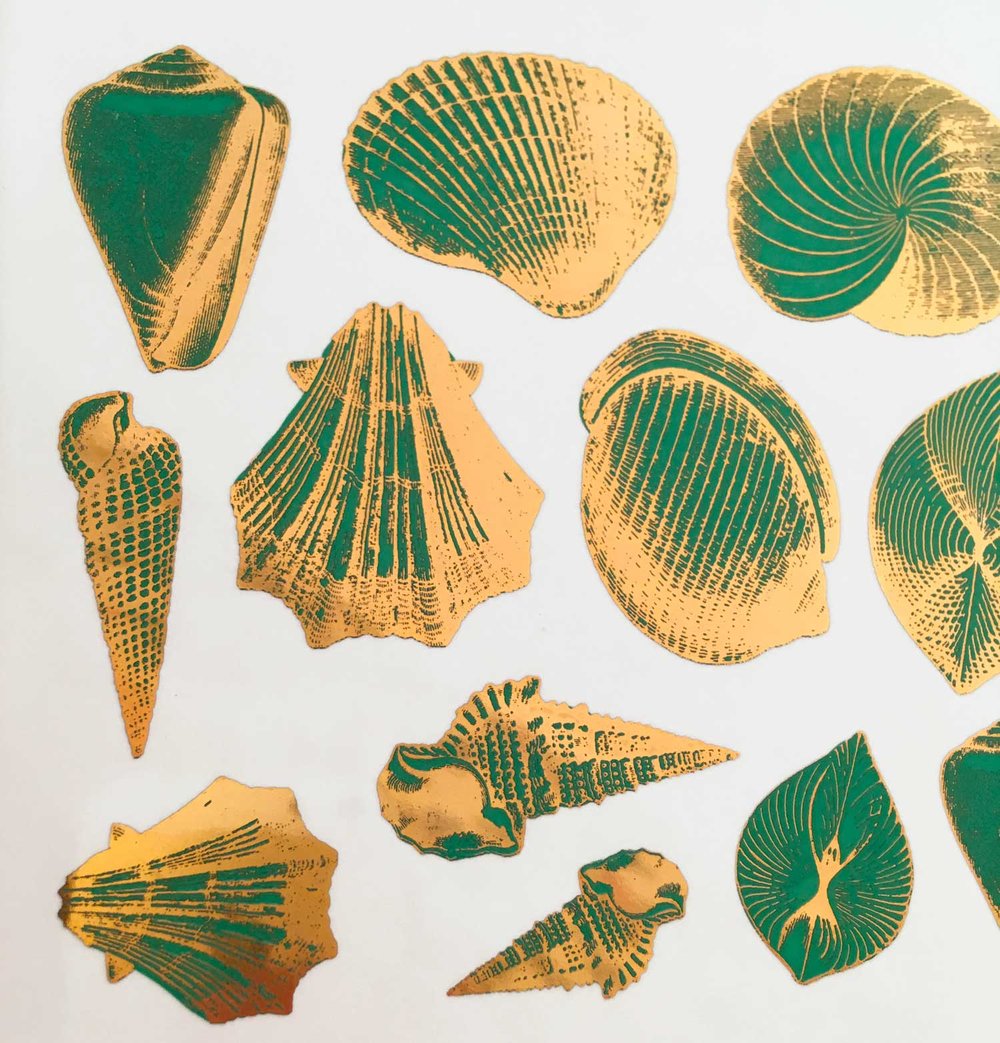 Two Color Sea Shell Decals - Ceramic Cone 017 - Fused Glass - Enamel ...